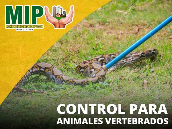 Control de animales vertebrados